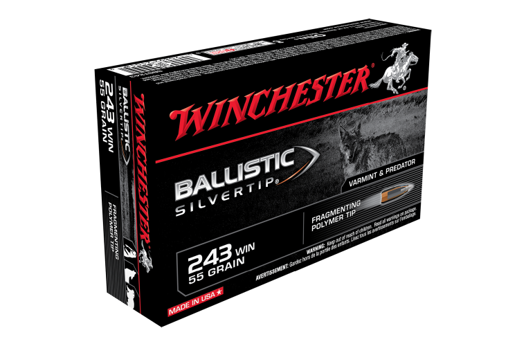 WINCHESTER BALLISTIC ST 243WIN 55GR PT