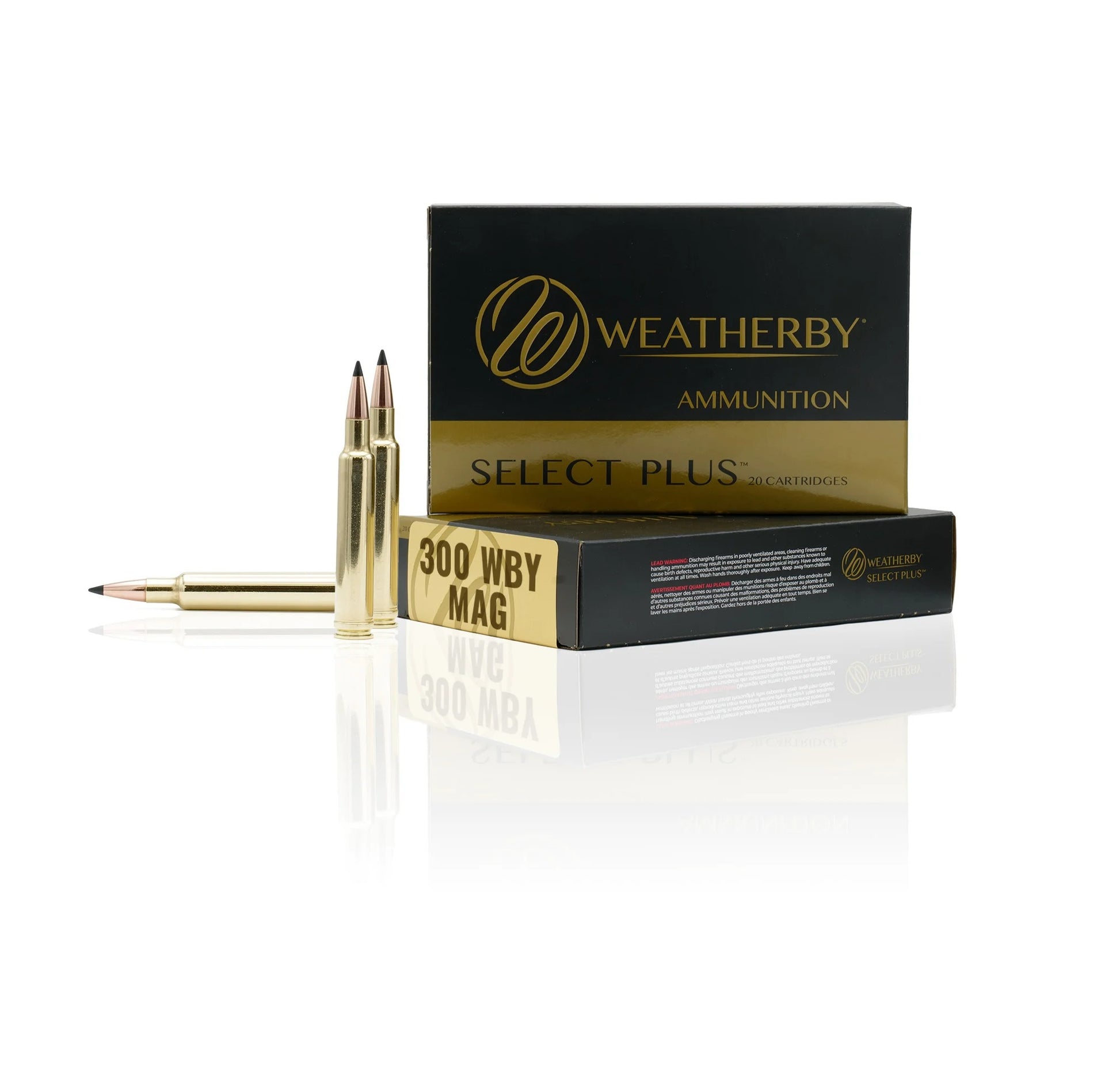 WEATHERBY 300 WBY 165 GR SPIRE POINT 20PK